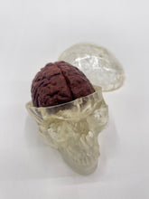 Load image into Gallery viewer, Wood Brain by Lindsay Zuelich African mahogany wood brain