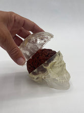 Load image into Gallery viewer, Wood Brain by Lindsay Zuelich African mahogany wood brain