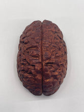 Load image into Gallery viewer, Wood Brain by Lindsay Zuelich African mahogany wood brain