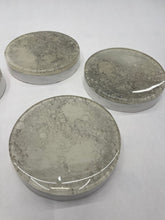 Load image into Gallery viewer, Wood Brain by Lindsay Zuelich Epoxy glow in the dark mini moon