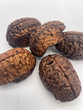 Load image into Gallery viewer, Walnut Wood Brain – Limited Collection