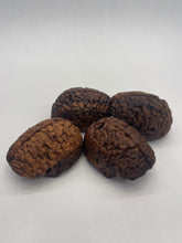 Load image into Gallery viewer, Wood Brain by Lindsay Zuelich Walnut Wood Brain