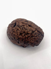 Load image into Gallery viewer, Wood Brain by Lindsay Zuelich Walnut Wood Brain