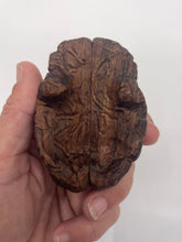 Load image into Gallery viewer, Wood Brain by Lindsay Zuelich Walnut Wood Brain