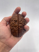 Load image into Gallery viewer, Wood Brain by Lindsay Zuelich Walnut Wood Brain