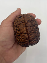 Load image into Gallery viewer, Wood Brain by Lindsay Zuelich Walnut Wood Brain