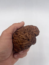 Load image into Gallery viewer, Wood Brain by Lindsay Zuelich Walnut Wood Brain