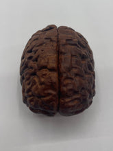 Load image into Gallery viewer, Wood Brain by Lindsay Zuelich Walnut Wood Brain