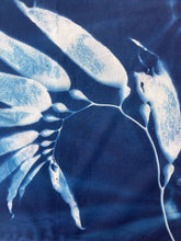 Load image into Gallery viewer, Seaweed 5 Cyanotype Bandannas – Limited Edition