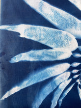 Load image into Gallery viewer, Seaweed 5 Cyanotype Bandannas – Limited Edition