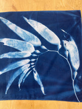 Load image into Gallery viewer, Seaweed 5 Cyanotype Bandannas – Limited Edition