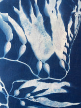 Load image into Gallery viewer, Seaweed 3 Cyanotype Bandannas – Limited Edition