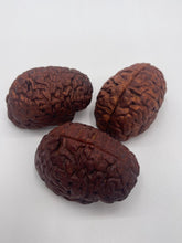 Load image into Gallery viewer, Wood Brain by Lindsay Zuelich African mahogany wood brain
