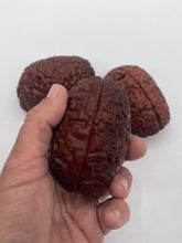 Load image into Gallery viewer, Wood Brain by Lindsay Zuelich African mahogany wood brain
