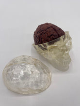Load image into Gallery viewer, Wood Brain by Lindsay Zuelich African mahogany wood brain
