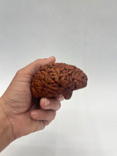 Load image into Gallery viewer, Wood Brain by Lindsay Zuelich African mahogany wood brain
