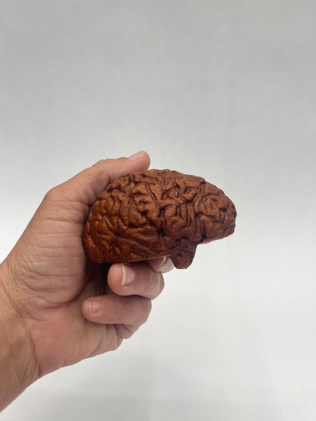 Wood Brain by Lindsay Zuelich African mahogany wood brain