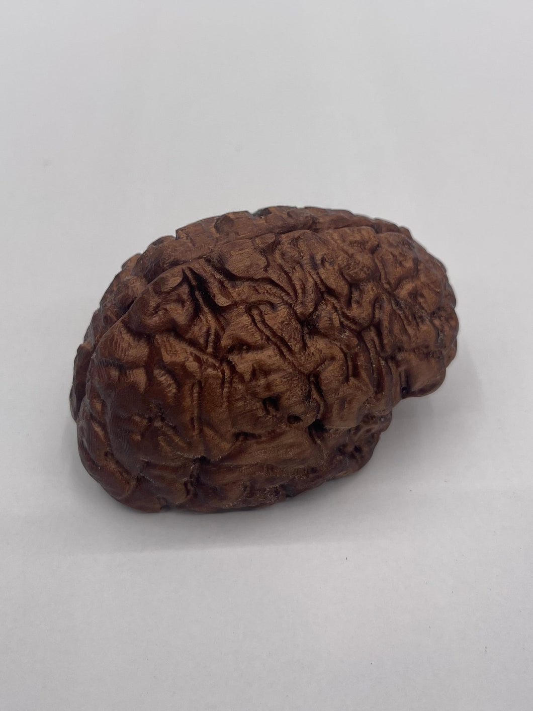 Wood Brain by Lindsay Zuelich Walnut Brain