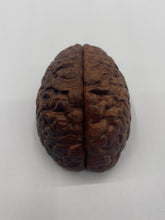 Load image into Gallery viewer, Wood Brain by Lindsay Zuelich Walnut Wood Brain
