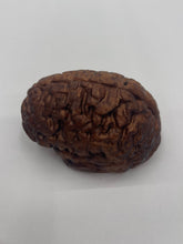 Load image into Gallery viewer, Wood Brain by Lindsay Zuelich Walnut Wood Brain
