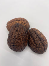 Load image into Gallery viewer, Wood Brain by Lindsay Zuelich Walnut Wood Brain
