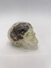 Load image into Gallery viewer, Wood Brain by Lindsay Zuelich Walnut Wood Brain
