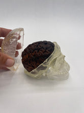 Load image into Gallery viewer, Wood Brain by Lindsay Zuelich Walnut Wood Brain with epoxy skull
