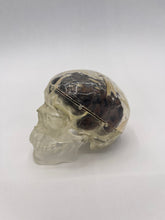 Load image into Gallery viewer, Wood Brain by Lindsay Zuelich Walnut Wood Brain with epoxy skull
