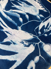 Load image into Gallery viewer, Seaweed 3 Cyanotype Bandannas – Limited Edition
