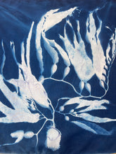 Load image into Gallery viewer, Seaweed 3 Cyanotype Bandannas – Limited Edition
