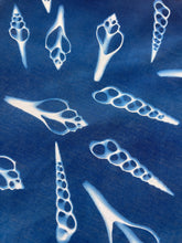 Load image into Gallery viewer, Seashells Cyanotype Bandannas – Limited Edition
