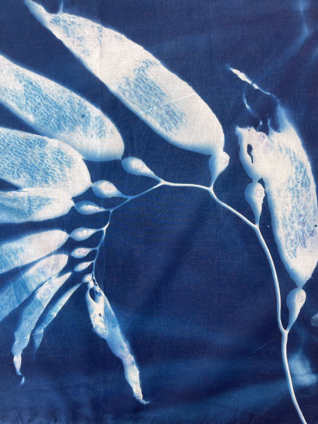 Seaweed 5 Cyanotype Bandannas – Limited Edition