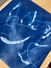 Load image into Gallery viewer, Seaweed 4 Cyanotype Bandannas – Limited Edition
