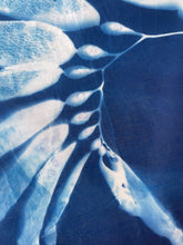 Load image into Gallery viewer, Seaweed 5 Cyanotype Bandannas – Limited Edition
